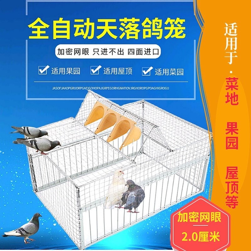 鸽子笼天落鸽舍棚跳笼鸽笼跳门撞门天落鸽笼鸽笼鸽具鸽笼家用特大