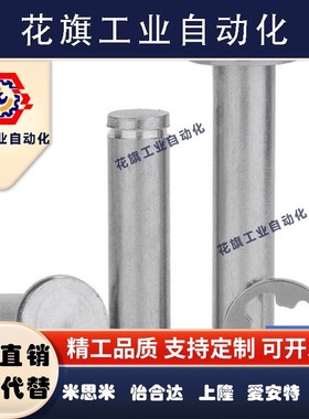 替代hccg6/8/10/12/5/4-15-20/25/30铰链销 带肩扣环型