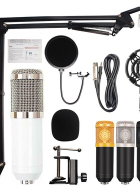 BM 800 home Studio recording equipment condenser microphone