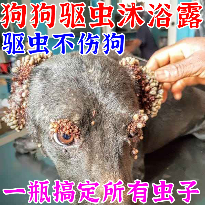 狗狗沐浴露杀菌除臭洗澡狗狗张跳蚤蜱虫螨虫驱虫狗狗驱虫沐浴露