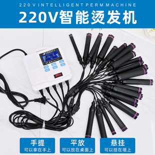 220V24V智能语音数码 速发发廊理发店小型热烫机器美发新款 烫发机