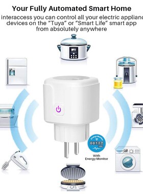 Smart  WiFi Socket E 16A Power Monitor Timing Function Tuya