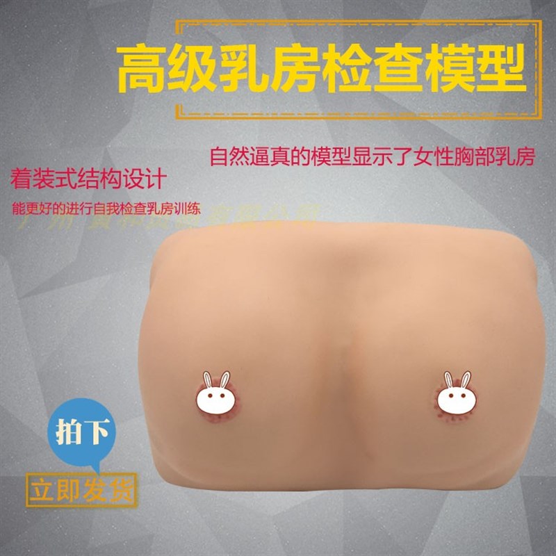 推荐女性胸部检查人体模型 家政培训 催乳师训练 高级乳房检查模