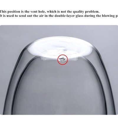 6Pcs Double Layers Wall Glass Insulated Milk Coffee Mug Cup