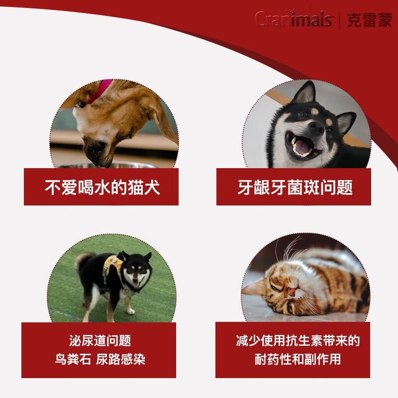 厂家克雷蒙Cranimals泌尿莓60g蔓越莓猫狗预防泌尿问题尿路感染宠