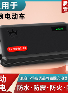 适用踏浪防水自动断电电动车电瓶充电器48V12AH20AH60V30A72V40AH