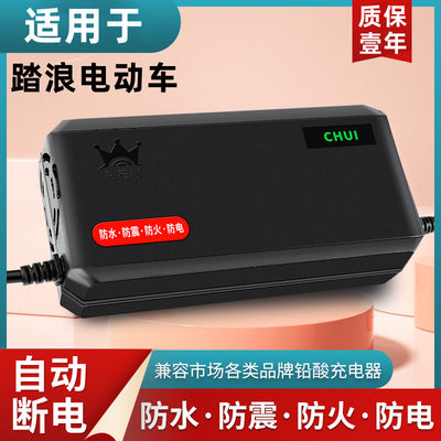 适用踏浪防水自动断电电动车电瓶充电器48V12AH20AH60V30A72V40AH