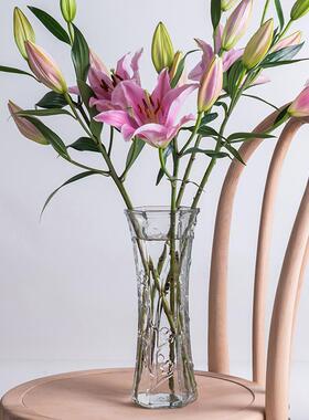 推荐玻璃花瓶透明水培富贵竹百合花客厅插花摆件水竹子专用水培特
