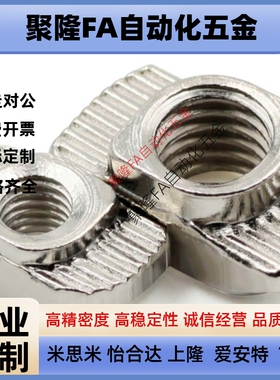 替怡合达AHC21-206/308/408/4010-M6欧标T型螺母AHN21