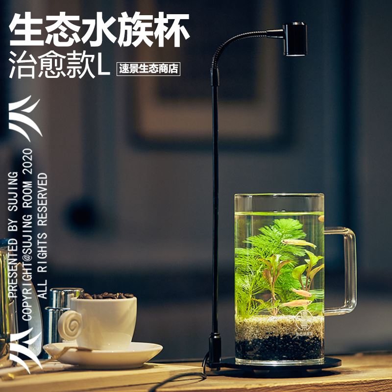 生态瓶微景观办公室微景观diyC微缸鱼缸造景微生态鱼缸免打理