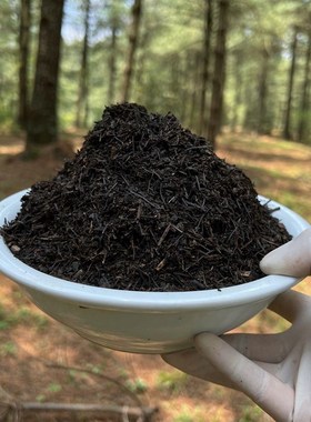 自用云南深山腐叶土、天然肥力腐殖土,绿植花卉通用,无泥沙10升