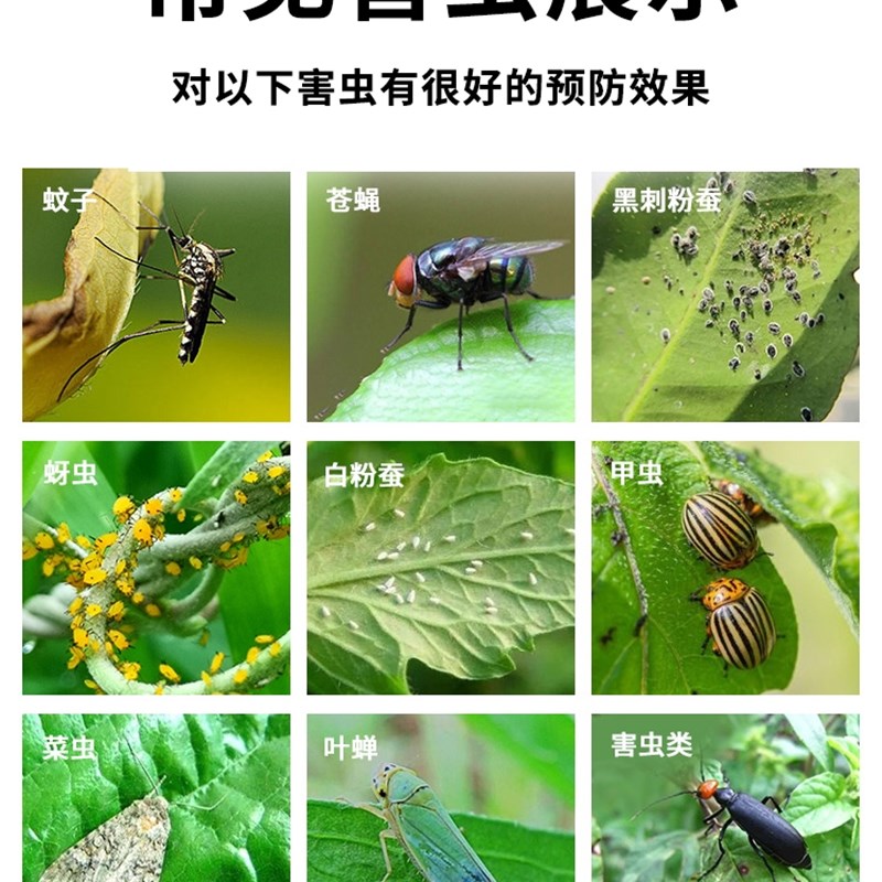 速发园艺防虫片菜地杀虫药无毒园林土壤杀虫剂菜园植物小白专用驱