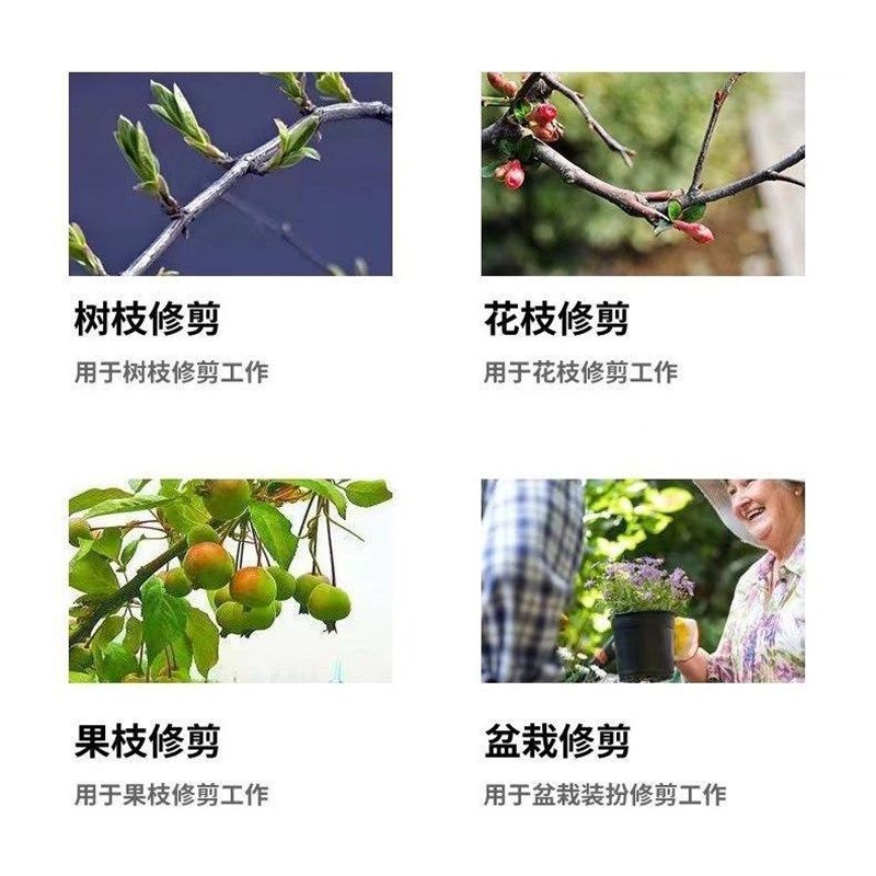 钢剪树剪子修枝剪刀家用花木葡萄果树剪耐用多功能花卉花枝剪刀,鲜花速递/花卉仿真/绿植园艺,剪刀,淘宝优惠券,粉丝福利购,淘宝优惠卷