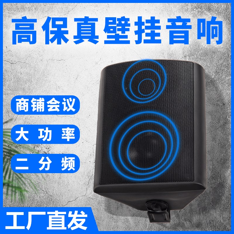 定阻/定压/蓝牙壁挂音箱 公共广播门店超市商场会议商用 壁挂音箱