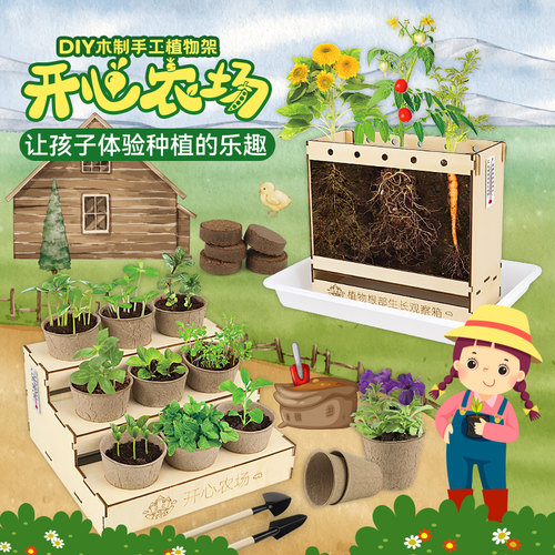 工厂销儿童种植吧阳m光房创意植物手工diy材料包科学小实验学生迷