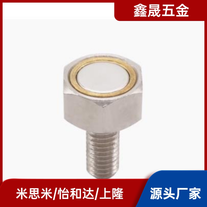 BML01 BML02 BML06 BML11 BML21 31-M3/M4/M5/M6/M8/M10带座磁铁