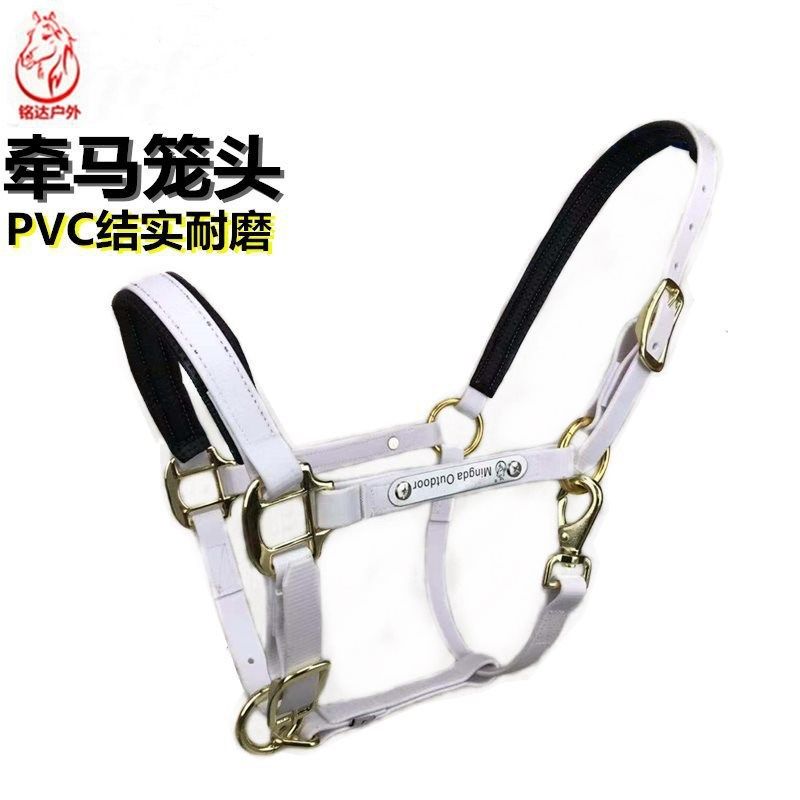 新款 PVC牵马笼头马具配件大小矮马龙头笼套缰绳精骑马术用品