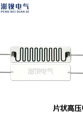 RI82 高压片状电阻 片式平面玻璃釉膜电阻 100M 20X75mm 耐压25KV