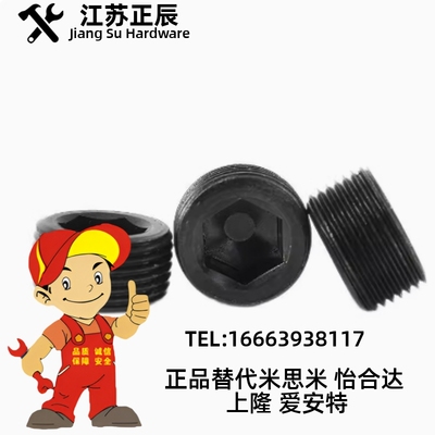 MSWT/MSWTK-J/S/1/2/3/4/5/6/8沉头螺塞