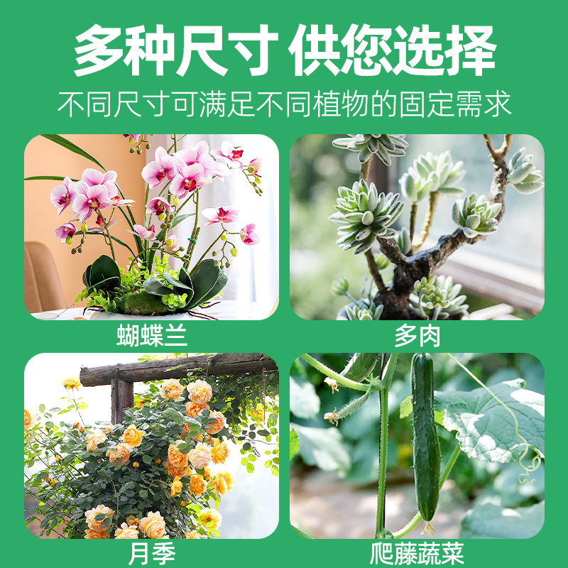 速发植物支撑杆蝴蝶兰龟背竹支架杆园艺造型花支架专用防倒伏固定