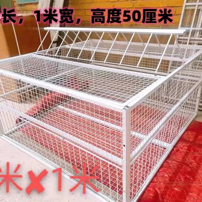 天落笼户外家用屋顶只进不出鸽子笼活络撞门信鸽自动门进鸽子神器