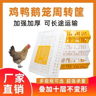 运输笼鸡笼塑料家禽周转箱筐成鸡鸭鹅鸽子笼子家用大号兔笼养殖笼