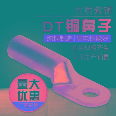 速发铜鼻子铜接头dt10平方电缆铜线鼻子接线端子铜线耳接线耳铜管