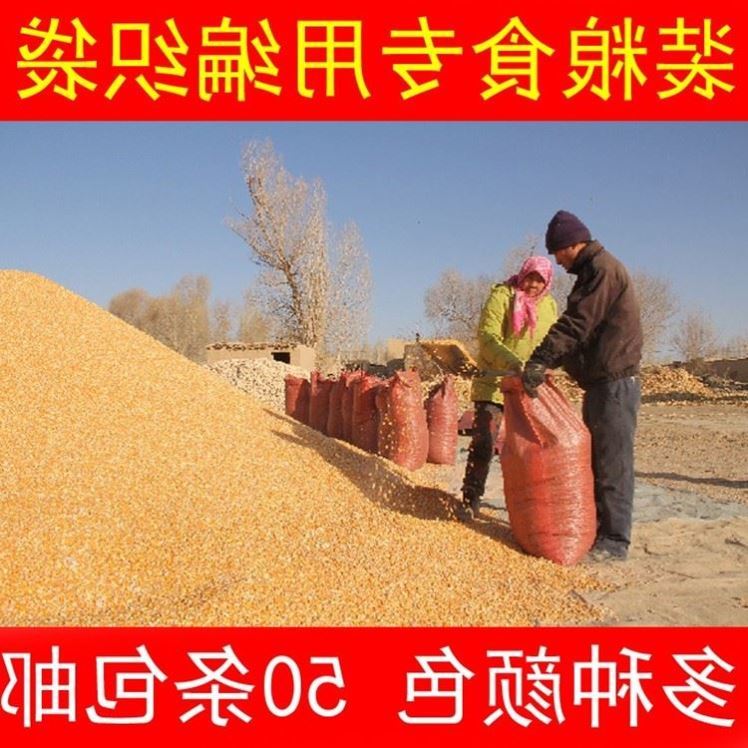 尿素袋子新装打包特大口袋80斤100斤编织袋蛇皮袋饲料加厚装粮食