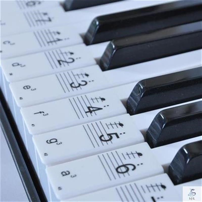 ,电子琴36键键盘贴电子琴键盘贴琴键贴纸五线谱简谱键位贴电子琴