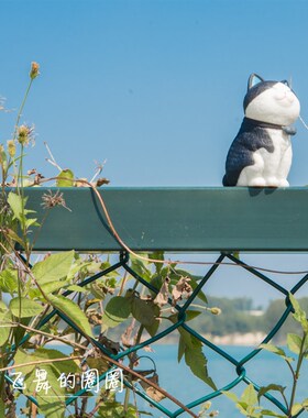 铃铛猫手办可爱动物猫咪公仔模型玩具装饰摆件套装办公室桌面礼物