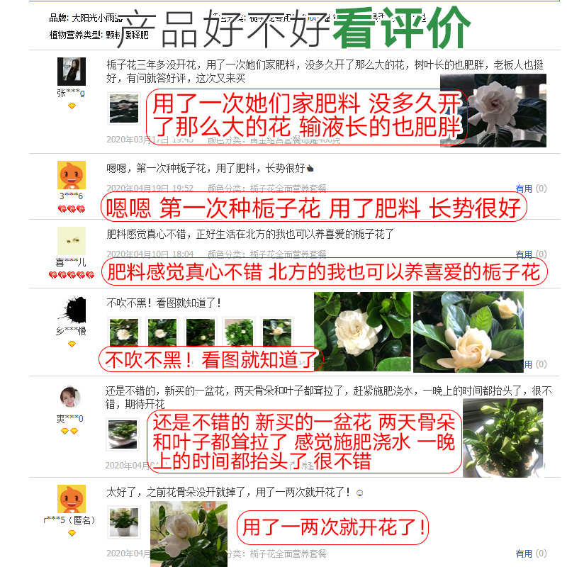 速发栀子花肥料专用肥营养液硫酸亚铁...