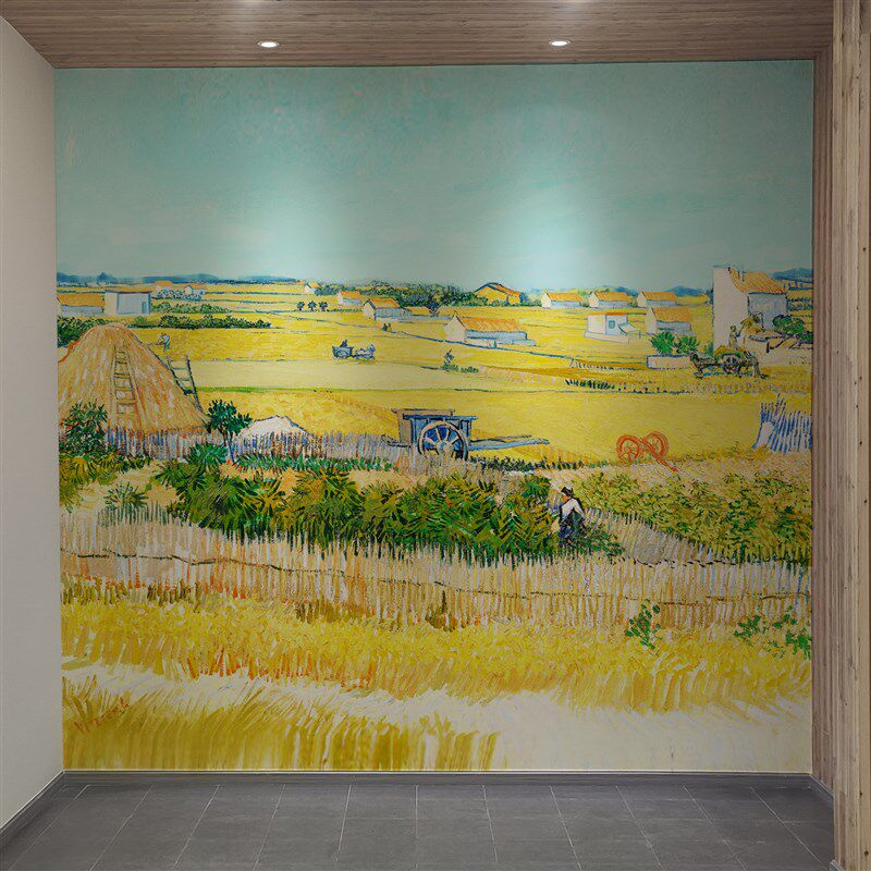 墙绘涂鸦乡村振兴墙体彩绘社区文化墙浮i雕壁画地面3d画喷绘手绘