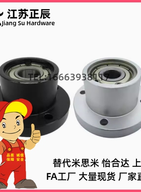 BFP31/32/36 BFP41/42/46-6002ZZ-L40 BFP51/52/56双轴承带座轴承