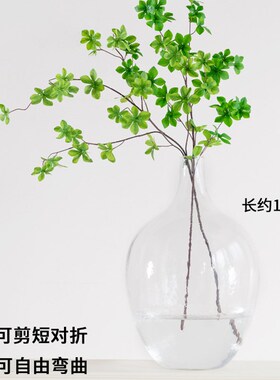 七茉北欧简约大肚玻璃花瓶日本吊钟马醉木插花水培落X地透明大美