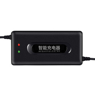 电动车电瓶充电器48V12AH20AH60V72伏爱玛雅迪台铃电车三轮车通用