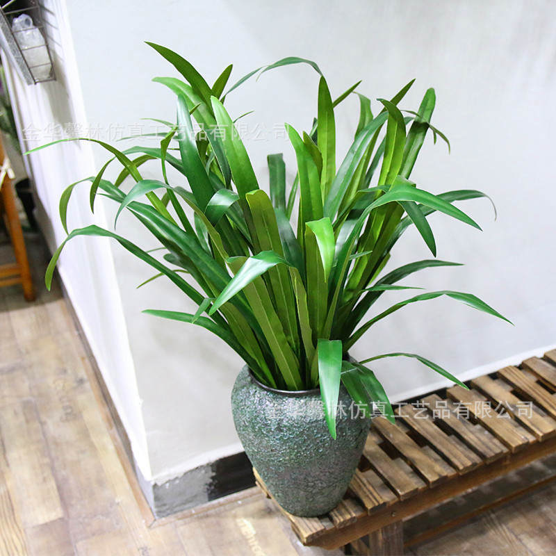 9叶兰花草剑兰叶植物墙配材仿真兰花叶吊兰家居饰V品竹叶草超逼真