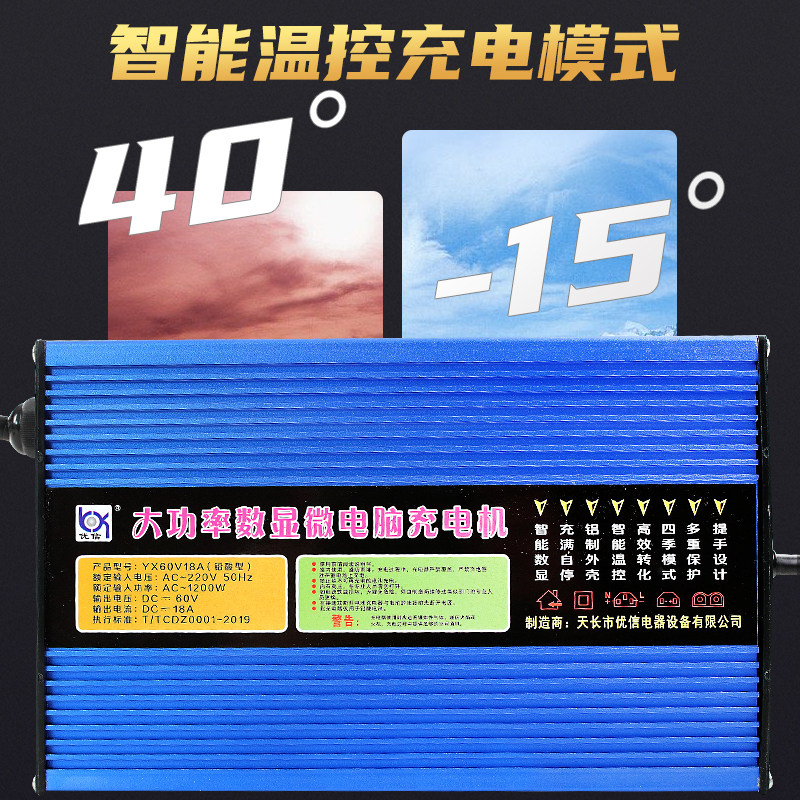 速发电动叉车充电器液压堆高车推高12V24V20A30A观光代步车电瓶充