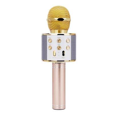 推荐WS858 Professional Bluetooth Wireless Microphone Speaker