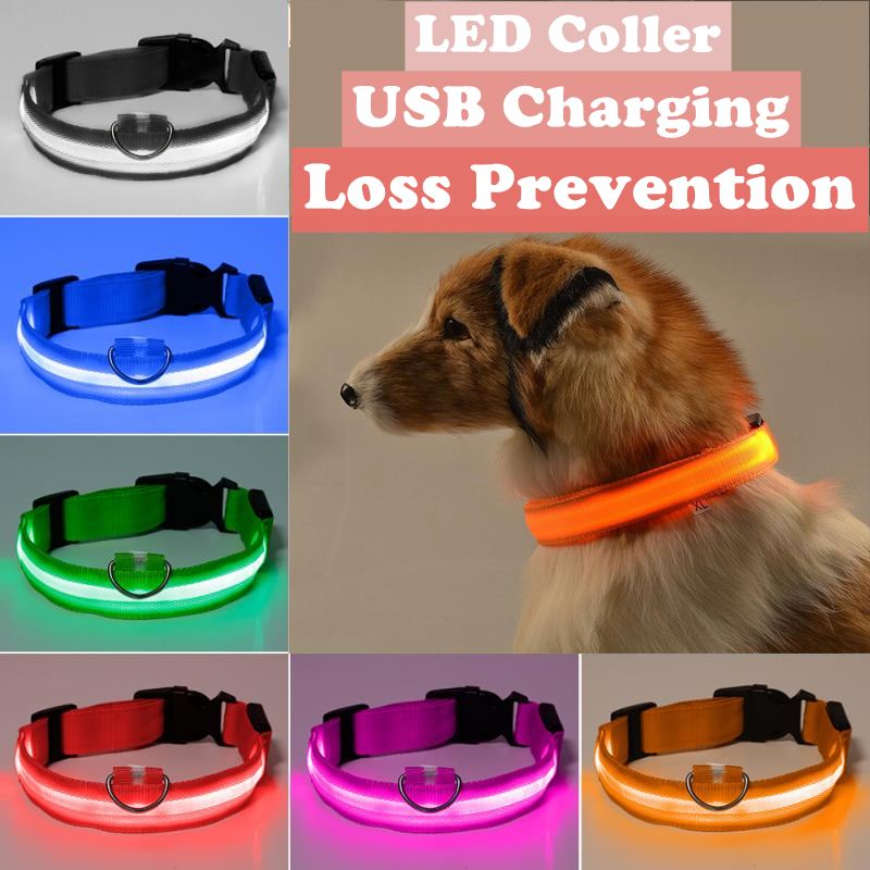 Nyloh LED Pet Dog Collar USB CharEgeng Dog Safity Nignt Ligh 宠物/宠物食品及用品 项圈/肩带 原图主图