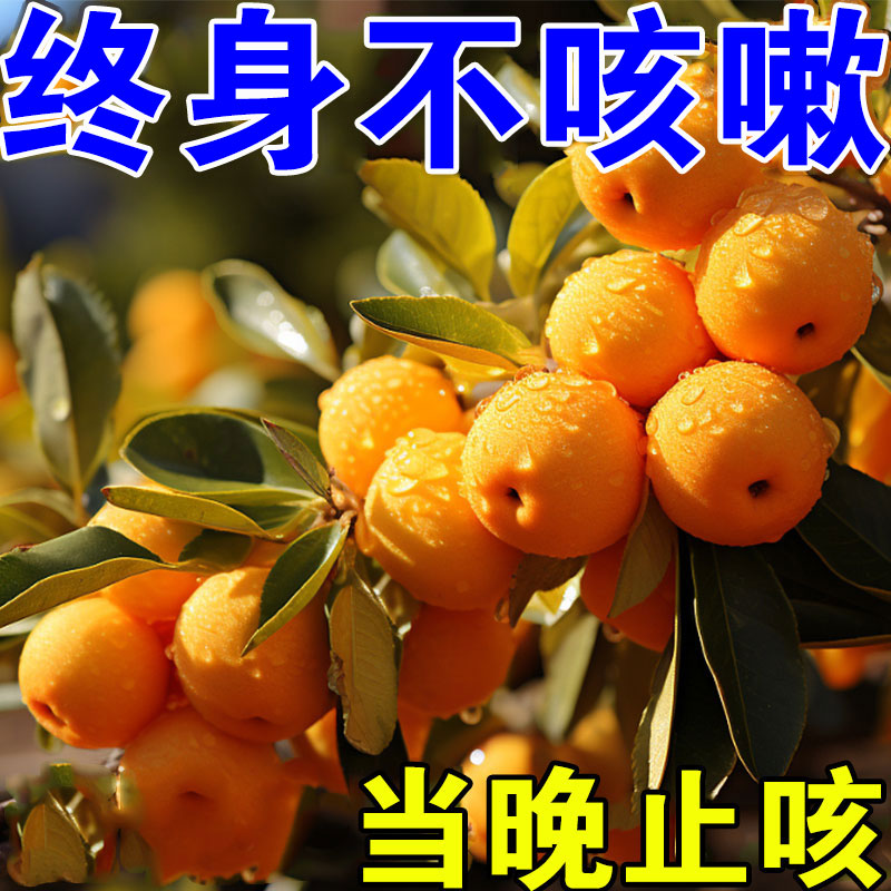 热销【止咳新辽法】咳喘贴成人儿童干咳哮喘喉咙干痒咳嗽止咳化痰