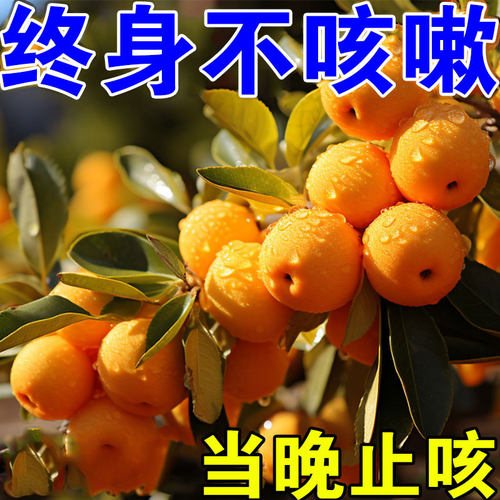 热销【止咳新辽法】咳喘贴成人儿童干咳哮喘喉咙干痒咳嗽止咳化痰