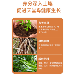 速发免稀释天堂鸟专用肥料家用室内盆栽绿植花卉养花营养液植物通