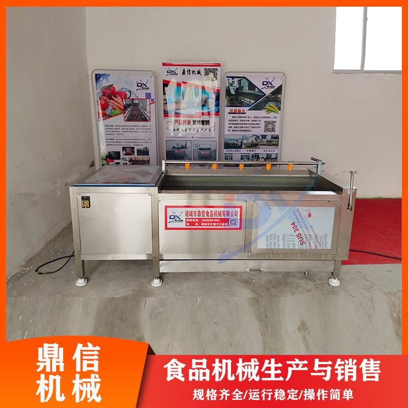 九辊海蛎b子清洗机 紫薯清洗设备 全自动果蔬毛辊清洗机
