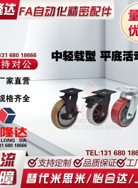 11/CEK16脚轮CEL01-CEM21-D100-D125-D150-D200-P-U-UA-N/06/07