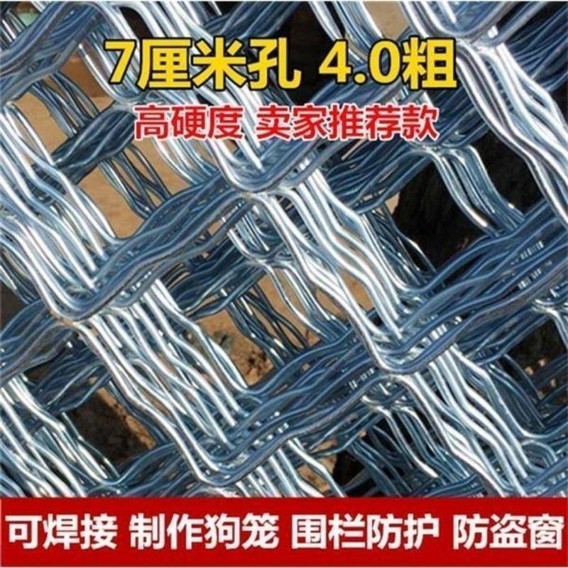 电焊镀锌防网片网养殖防锈铁丝网狗笼网建筑防护围栏防盗网逃