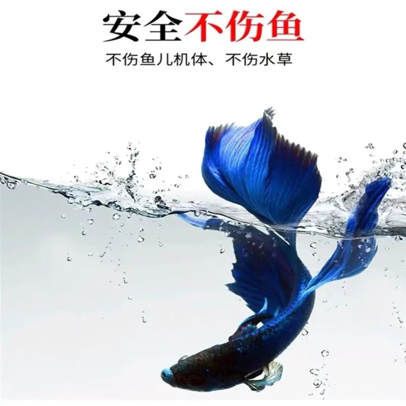 【急救】庆大霉素水霉白毛白点z净观赏鱼水霉蒙眼烂尾烂鳃不伤鱼