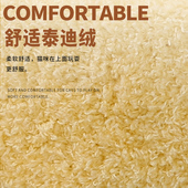 猫爬架猫窝一体小型不占地立式 通用 抓板不掉屑幼猫爬柱猫架四季