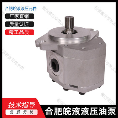 网红合肥皖液齿轮泵CBNJ-F532/F540/F550/F563-BFPR 铸铁液压油泵