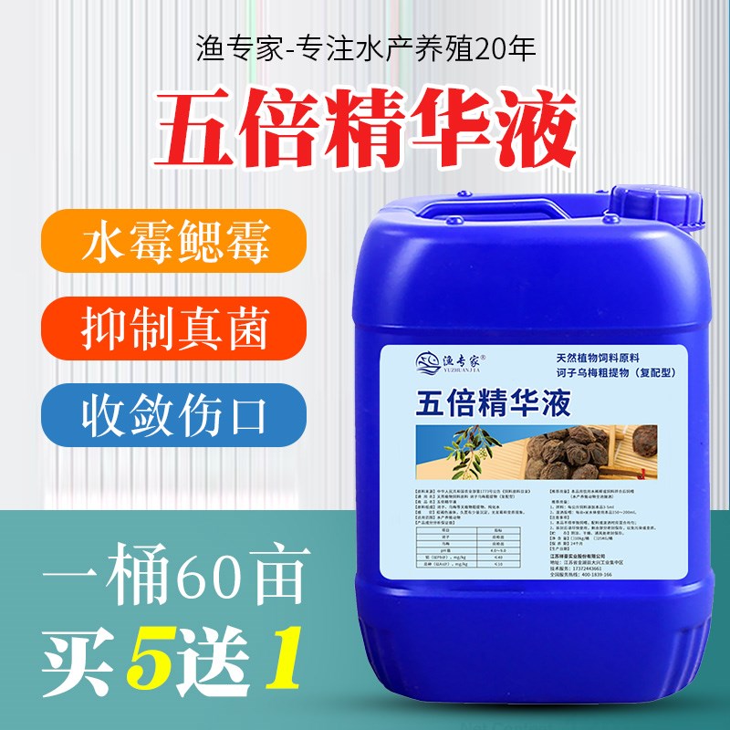 五倍子精华液水产养殖五倍子末鱼塘硫醚沙星水霉病V鳃霉病止血鱼