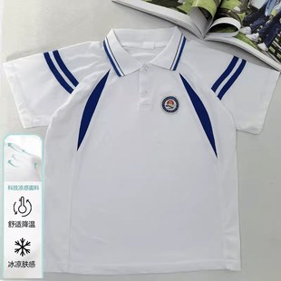 小学生校服春秋套装儿童四件套运动套装龙海区中心小学校服码二